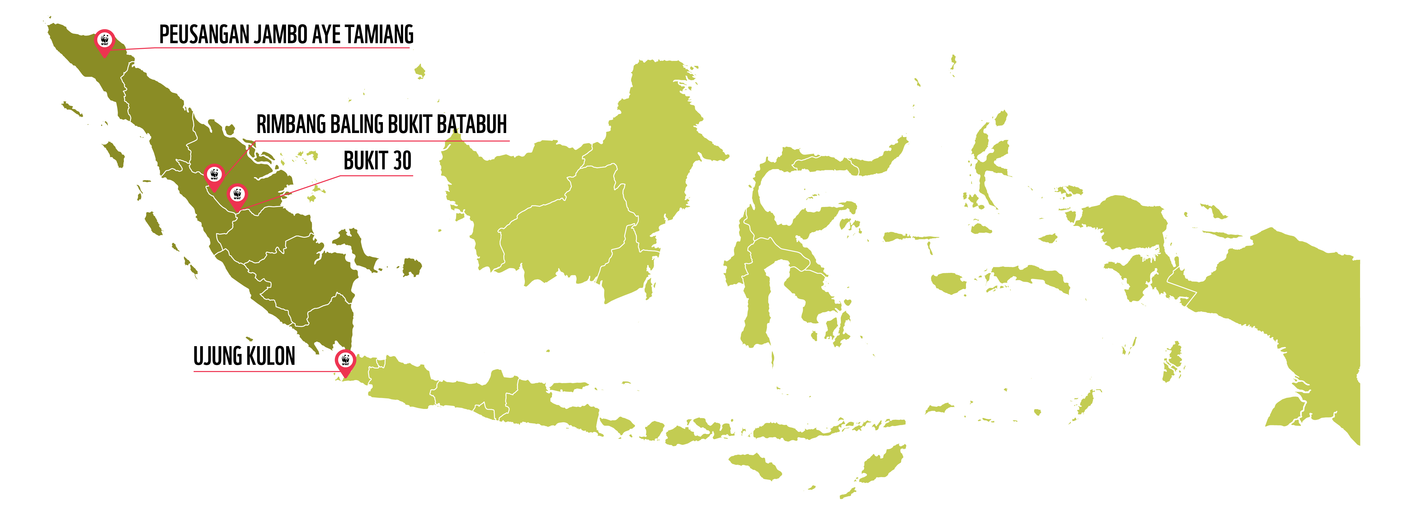 sumatra
